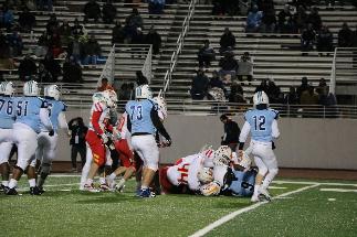 November 8 2019 IMG_9456847